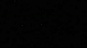 NASA's Mars 2020 Perseverance Rover Landing Animations